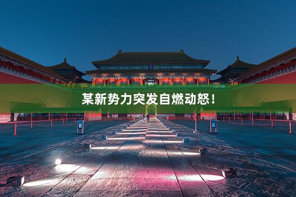 某新势力突发自燃动怒！