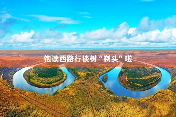 饱读西路行谈树“剃头”啦