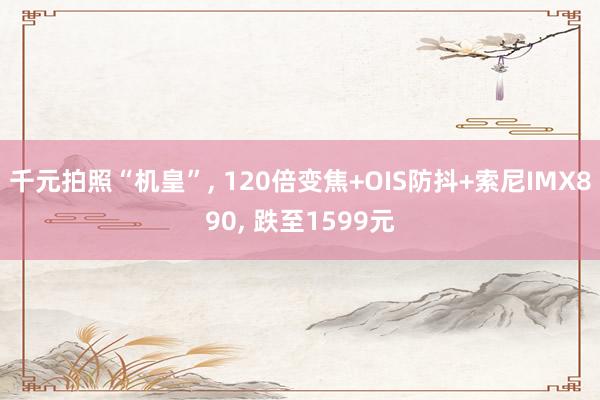 千元拍照“机皇”, 120倍变焦+OIS防抖+索尼IMX890, 跌至1599元
