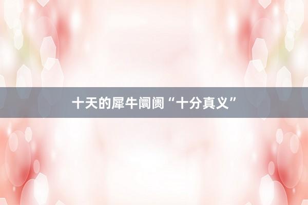 十天的犀牛阛阓“十分真义”
