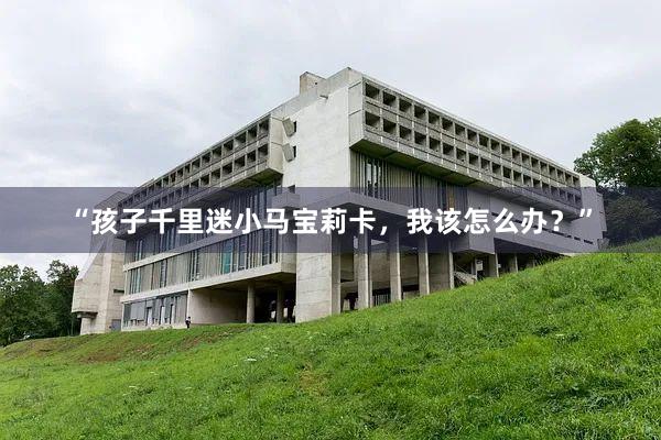 “孩子千里迷小马宝莉卡，我该怎么办？”