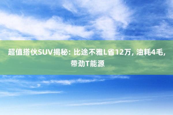 超值搭伙SUV揭秘: 比途不雅L省12万, 油耗4毛, 带劲T能源