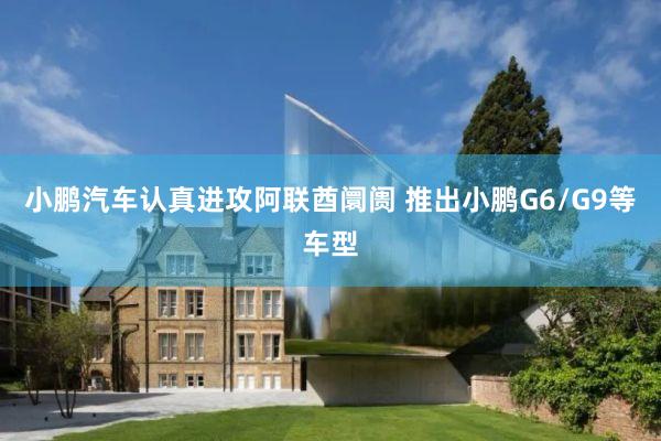 小鹏汽车认真进攻阿联酋阛阓 推出小鹏G6/G9等车型